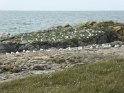 2017-09-30 14-14-39 Circuit Batz sur mer et Le Croisic MBo
